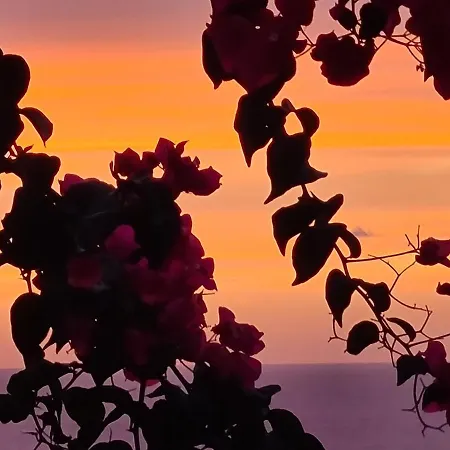Lejlighed “cielo E Mare”, Casetta Nel Cuore Del Borgo Antico / “sky & Sea”, Charming In The Heart Of Old Village Castelsardo
