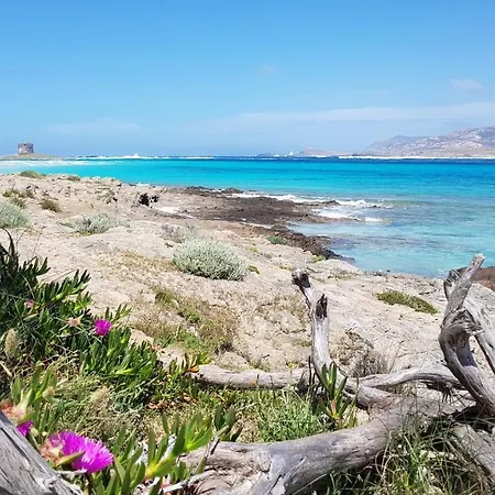 דירה “cielo E Mare”, Casetta Nel Cuore Del Borgo Antico / “sky & Sea”, Charming In The Heart Of Old Village